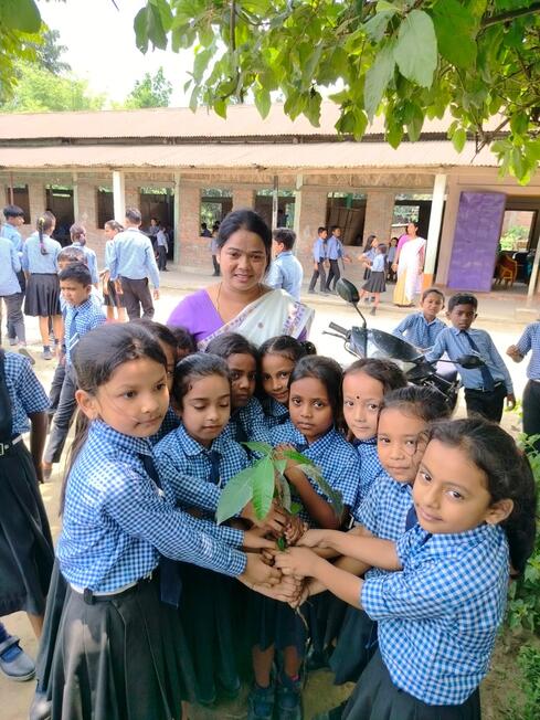 Teaching Importance of tree